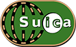 Suica